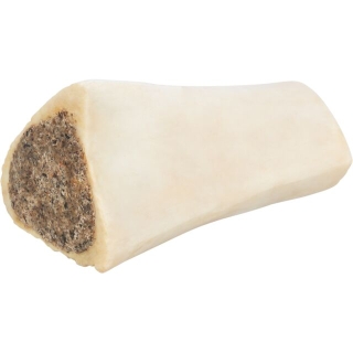 Schienbeinknochen vom Rind