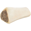 Schienbeinknochen vom Rind